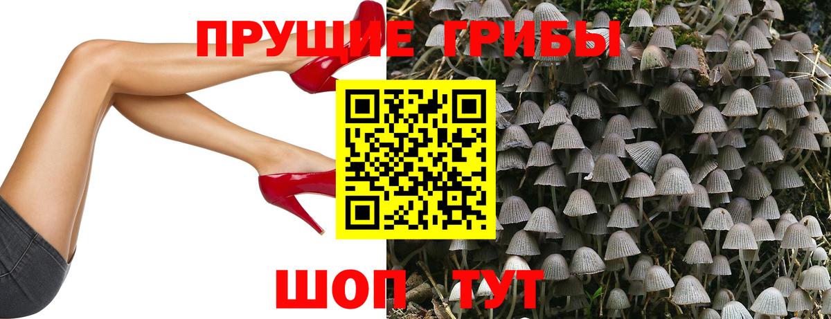 Псилоцибиновые грибы MAGIC MUSHROOMS Чистополь