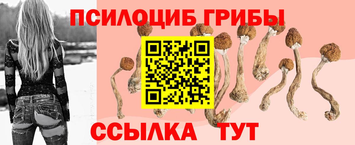 Псилоцибиновые грибы Magic Shrooms  Псилоцибиновые грибы Magic Shrooms  Вход с VPN  Чистополь 
